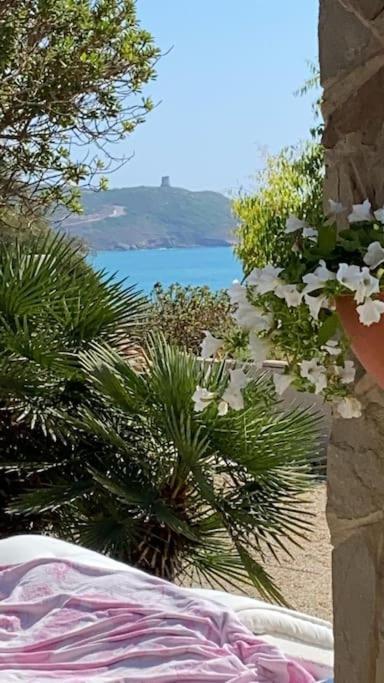 Amea Villa